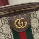 Super Vip 1:1 – Gucci Ophidia Small Belt Bag Beige And Dark Brown 30Cm ‎‎‎839106 FAEOF 9745 - Image 7